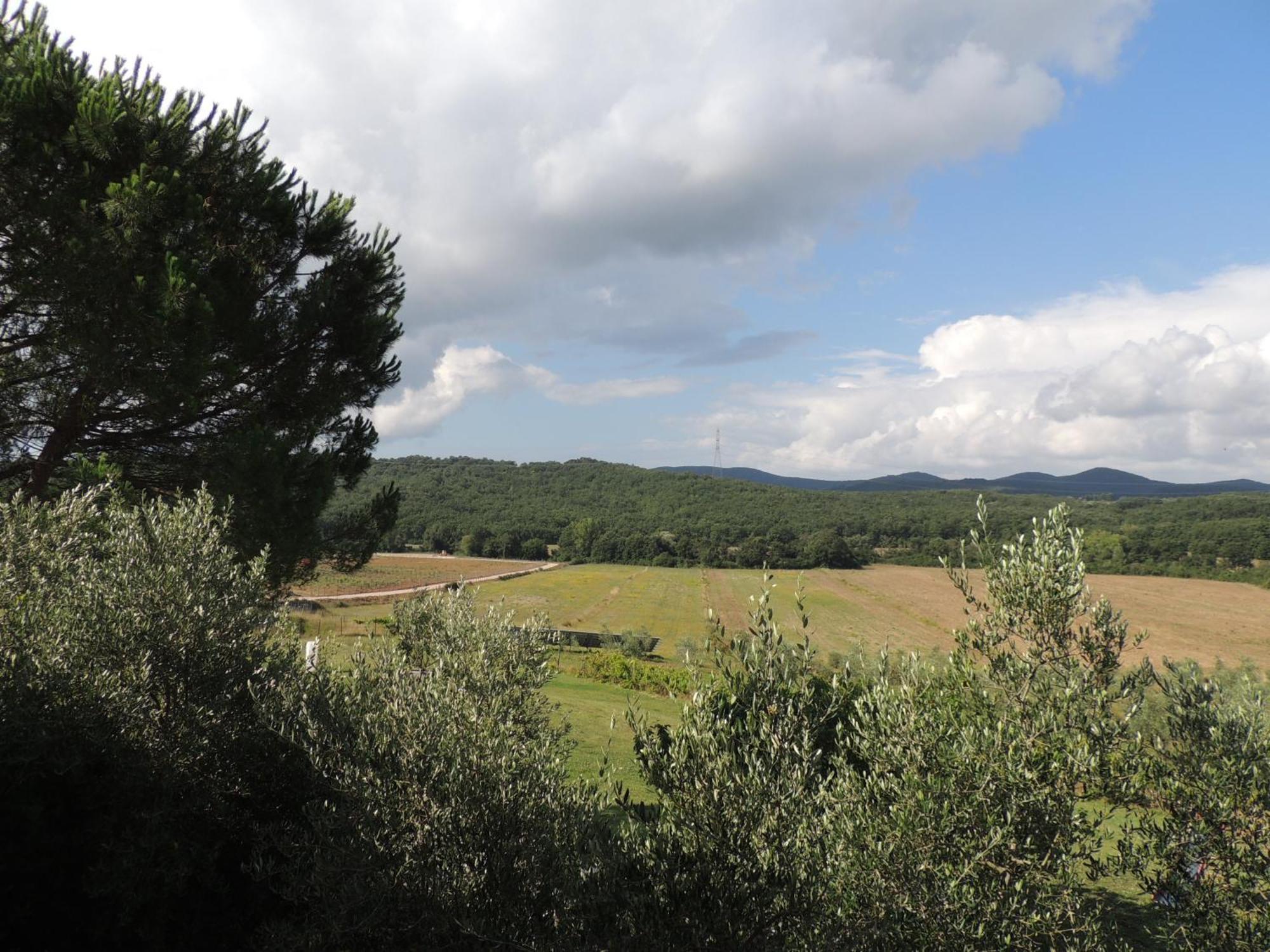 Podere Borgognano