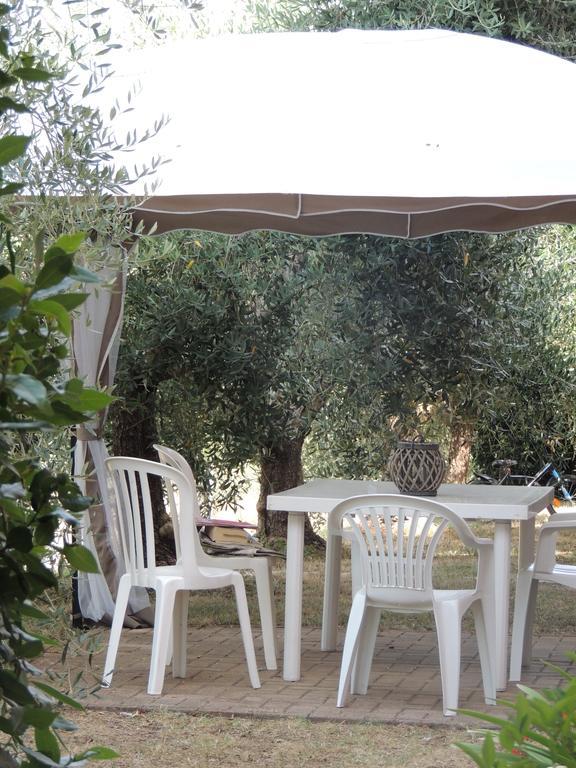 Podere Borgognano Farm stay Massa Marittima