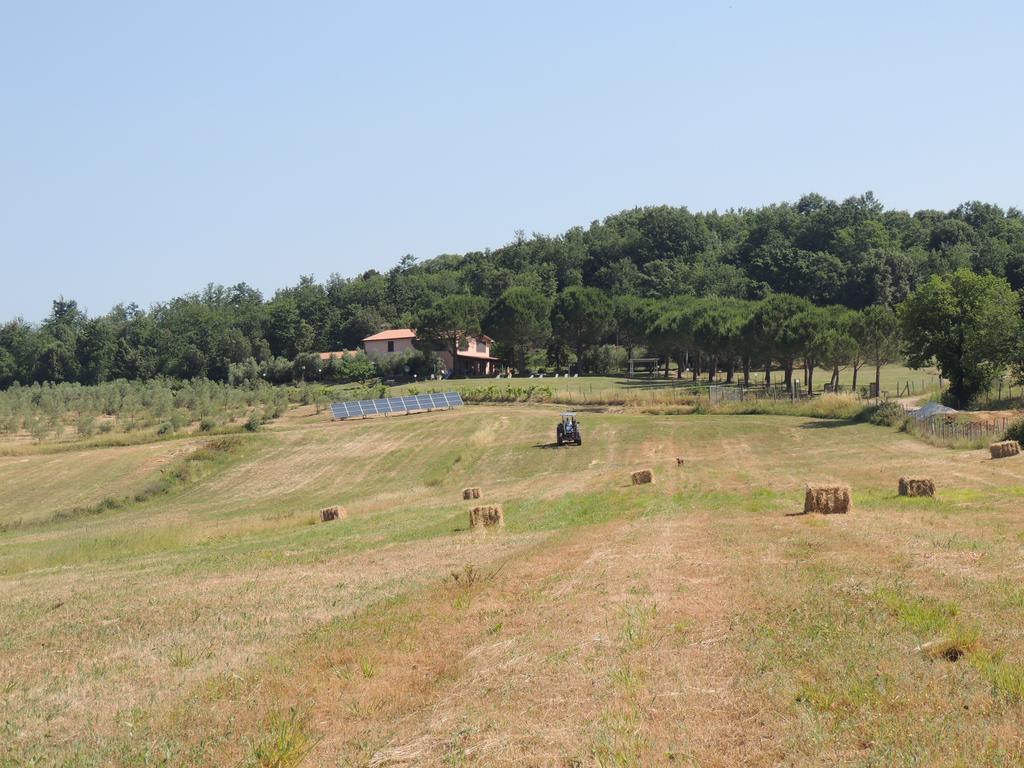 Podere Borgognano * Massa Marittima