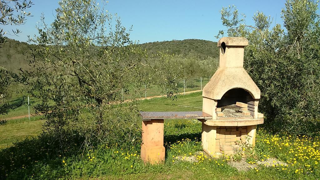 Podere Borgognano Massa Marittima