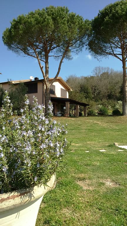 Farm stay Podere Borgognano *