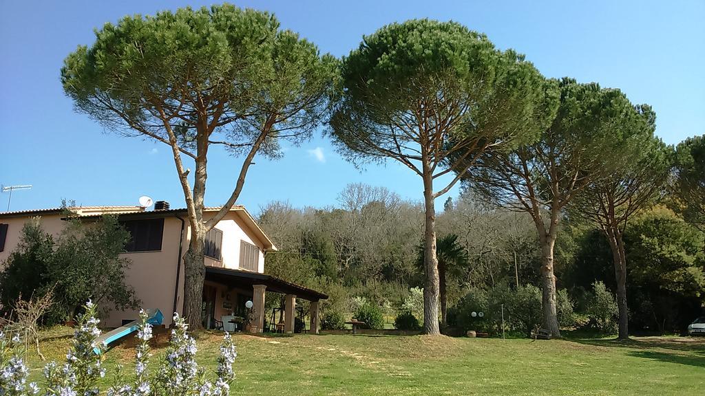 Podere Borgognano Massa Marittima