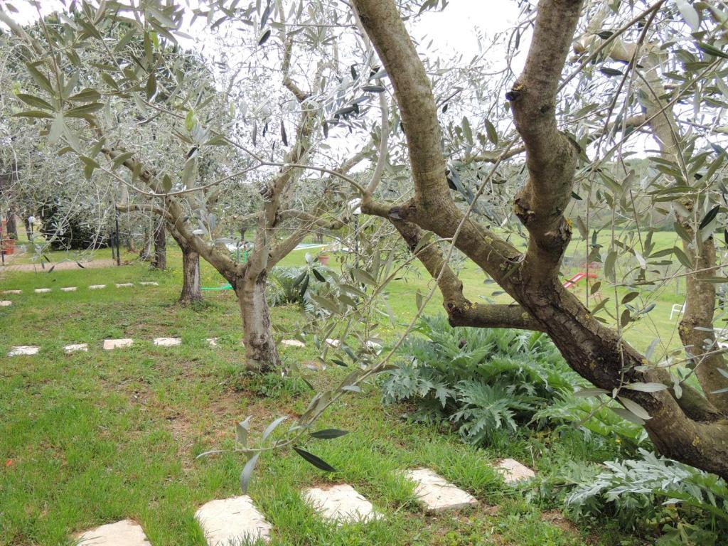 Farm stay Podere Borgognano