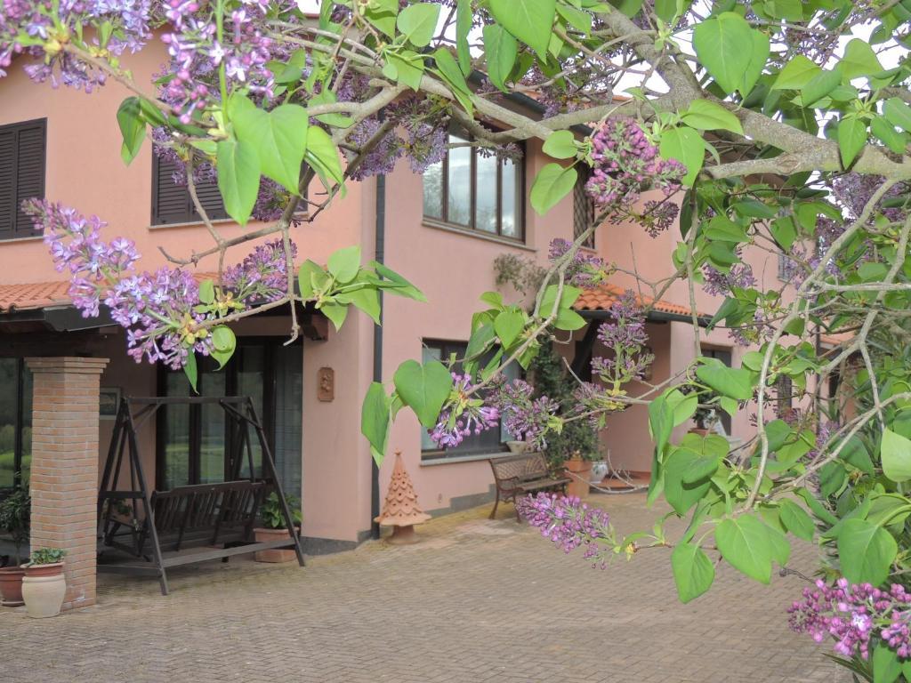 Farm stay Podere Borgognano Massa Marittima