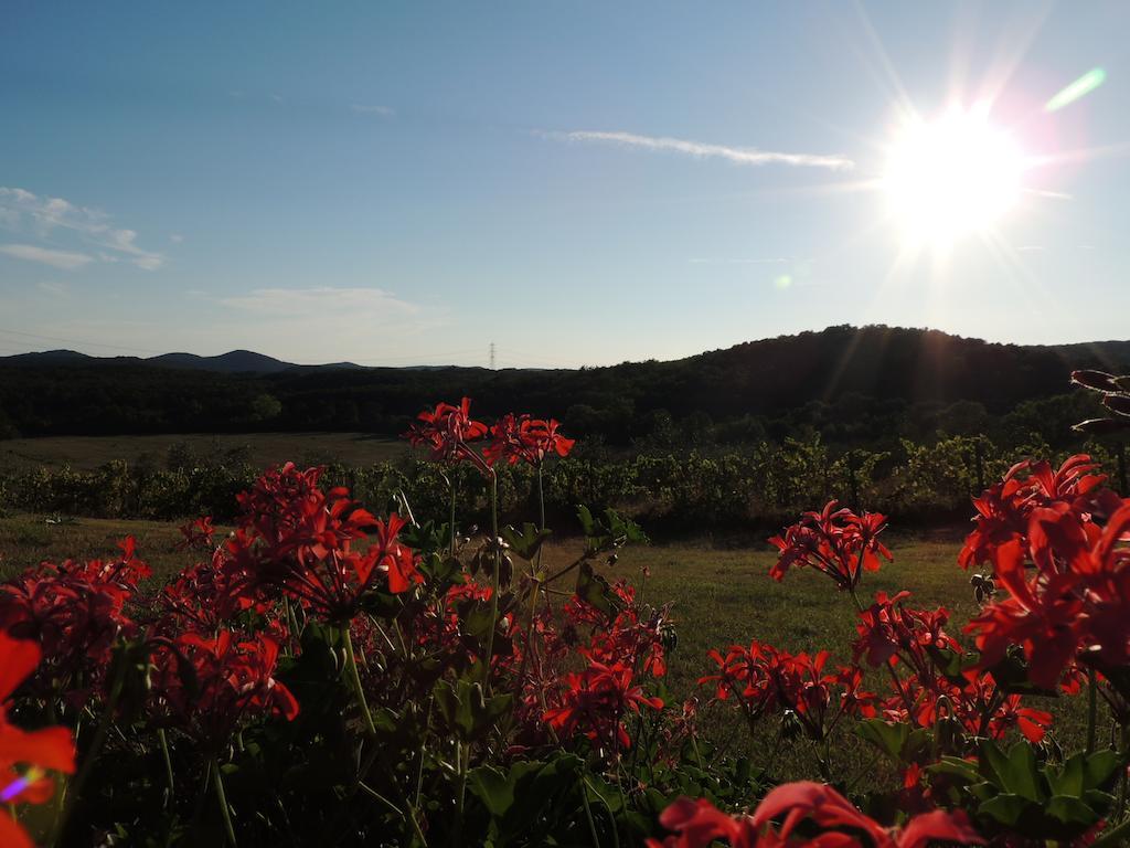 Farm stay Podere Borgognano Massa Marittima