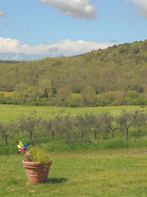 Podere Borgognano Farm stay *