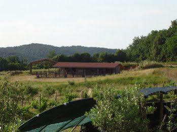 Podere Borgognano Farm stay Massa Marittima