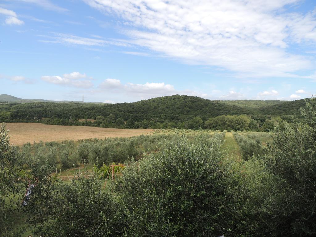 Podere Borgognano Farm stay Massa Marittima
